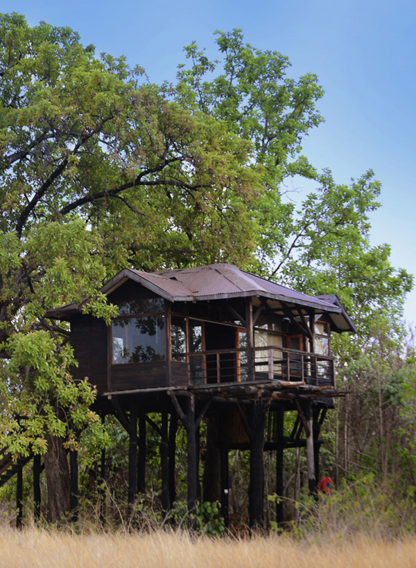 Pench Tree Lodge, Pench