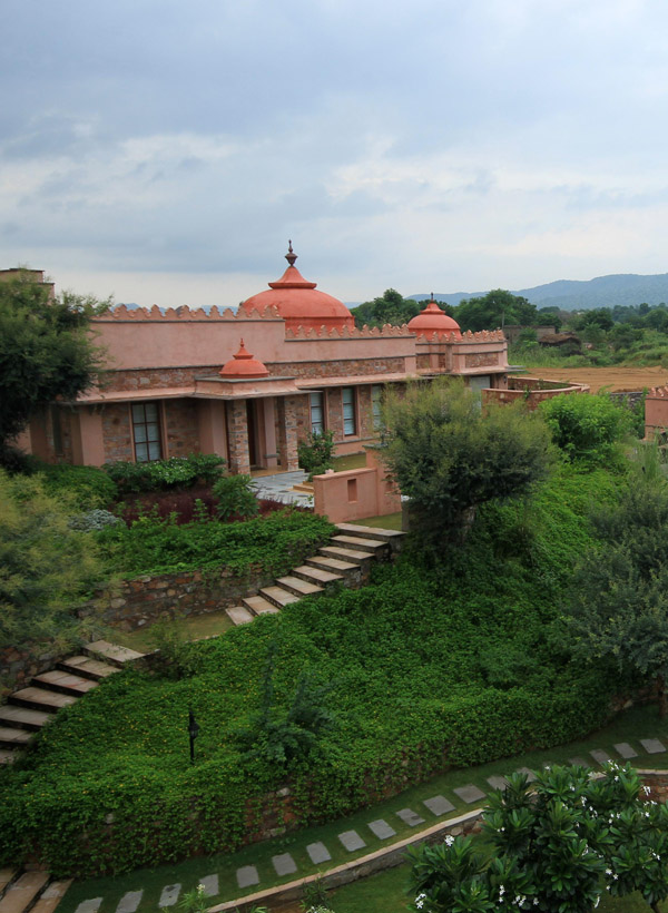 Tree of Life, Jaipur